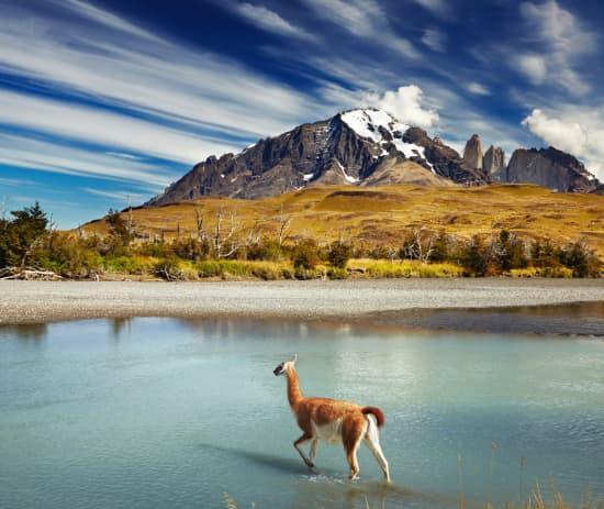 Le parc national du Paine, au pied des Andes de Patagonie, au Chili. © Dmitry Pichugin/Fotolia.com